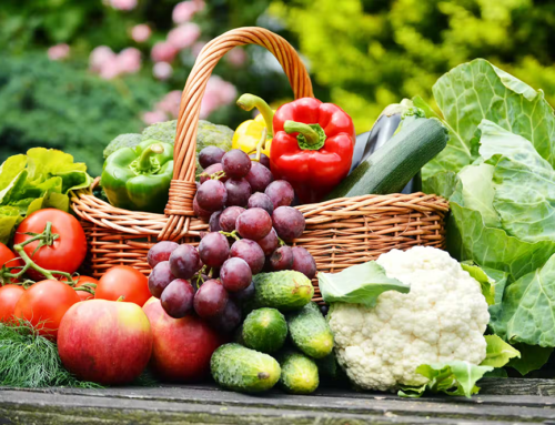 Les médailles du concours général agricole : tout savoir